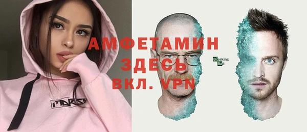 тгк Вяземский